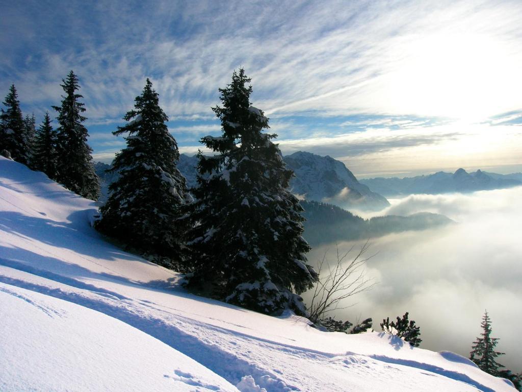 Krosbacher Hof Seefeld in Tirol Exteriér fotografie